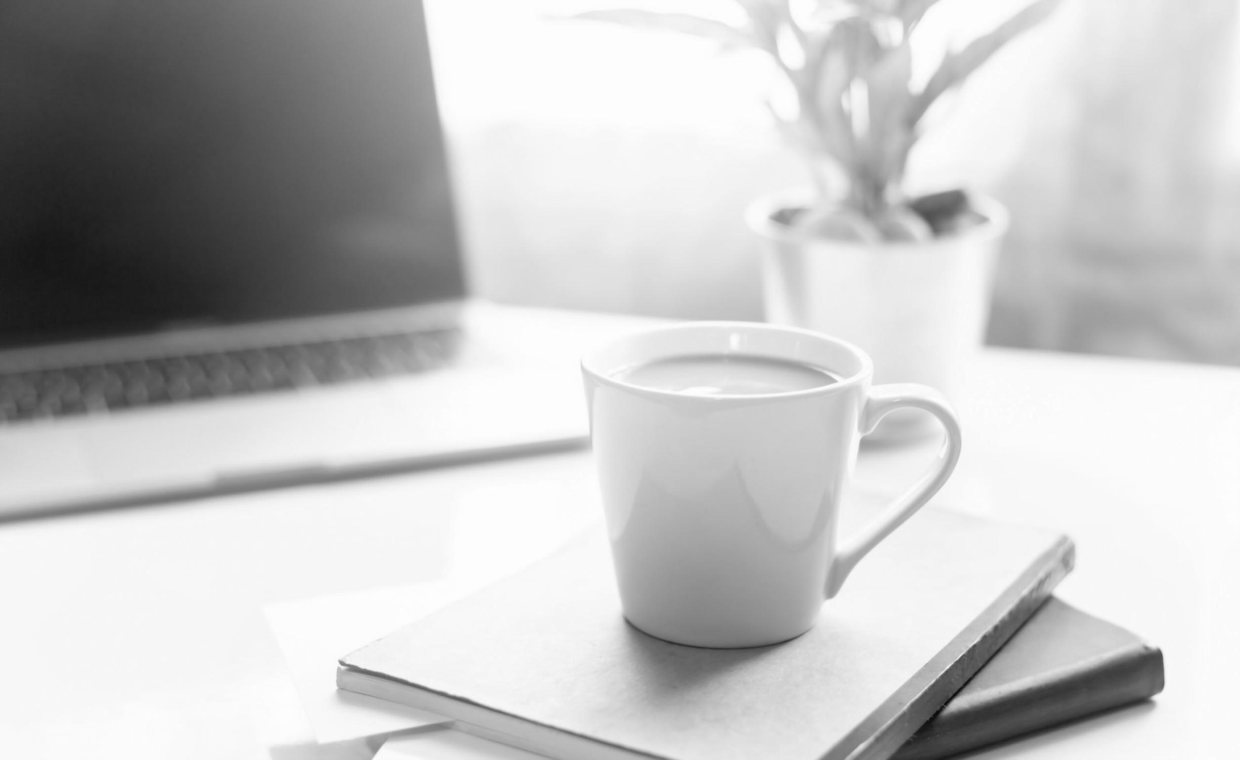 SEO-Audit-Arbeitsplatz mit Analysedaten